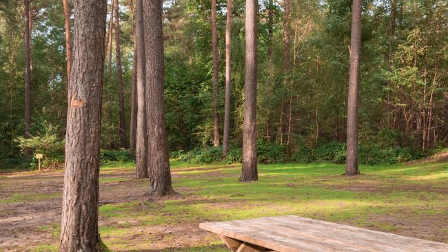 Zeltplatzt Kapelle